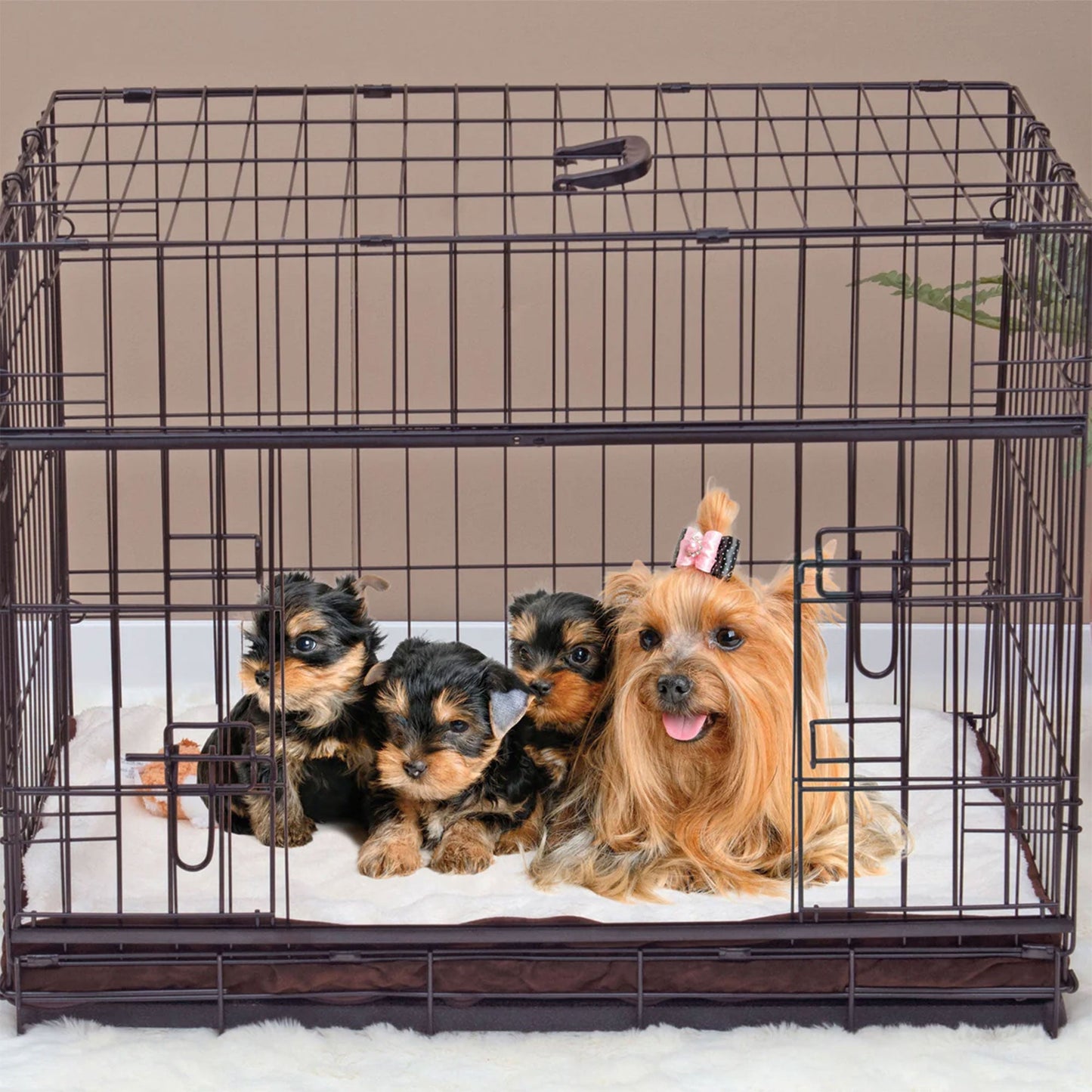 Lucky Dog Dwell Series 48 Inch XL Kennel Secure Fenced Pet Dog Crate, Black - Angler's Pro Tackle & Outdoors