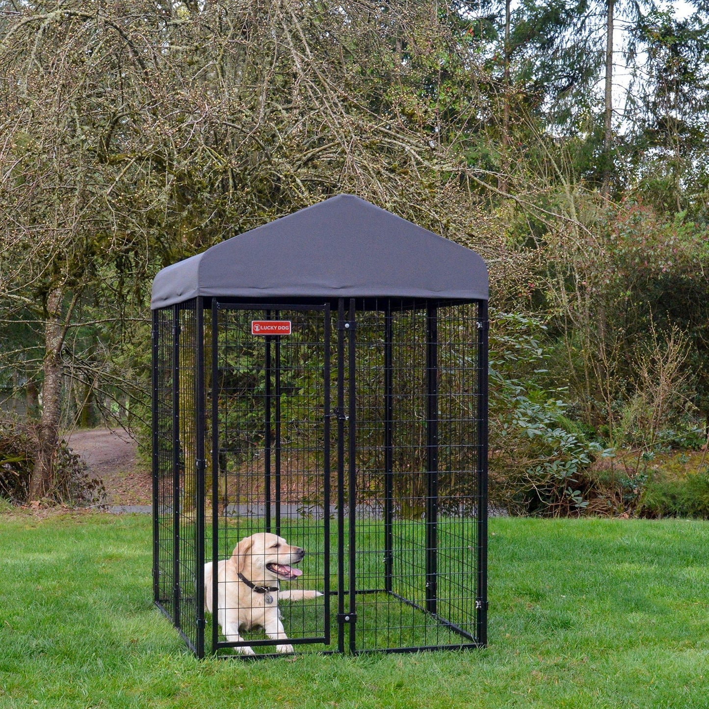 Lucky Dog STAY Series 4 x 4 x 6 Foot Roofed Steel Frame Studio Dog Kennel, Grey - Angler's Pro Tackle & Outdoors