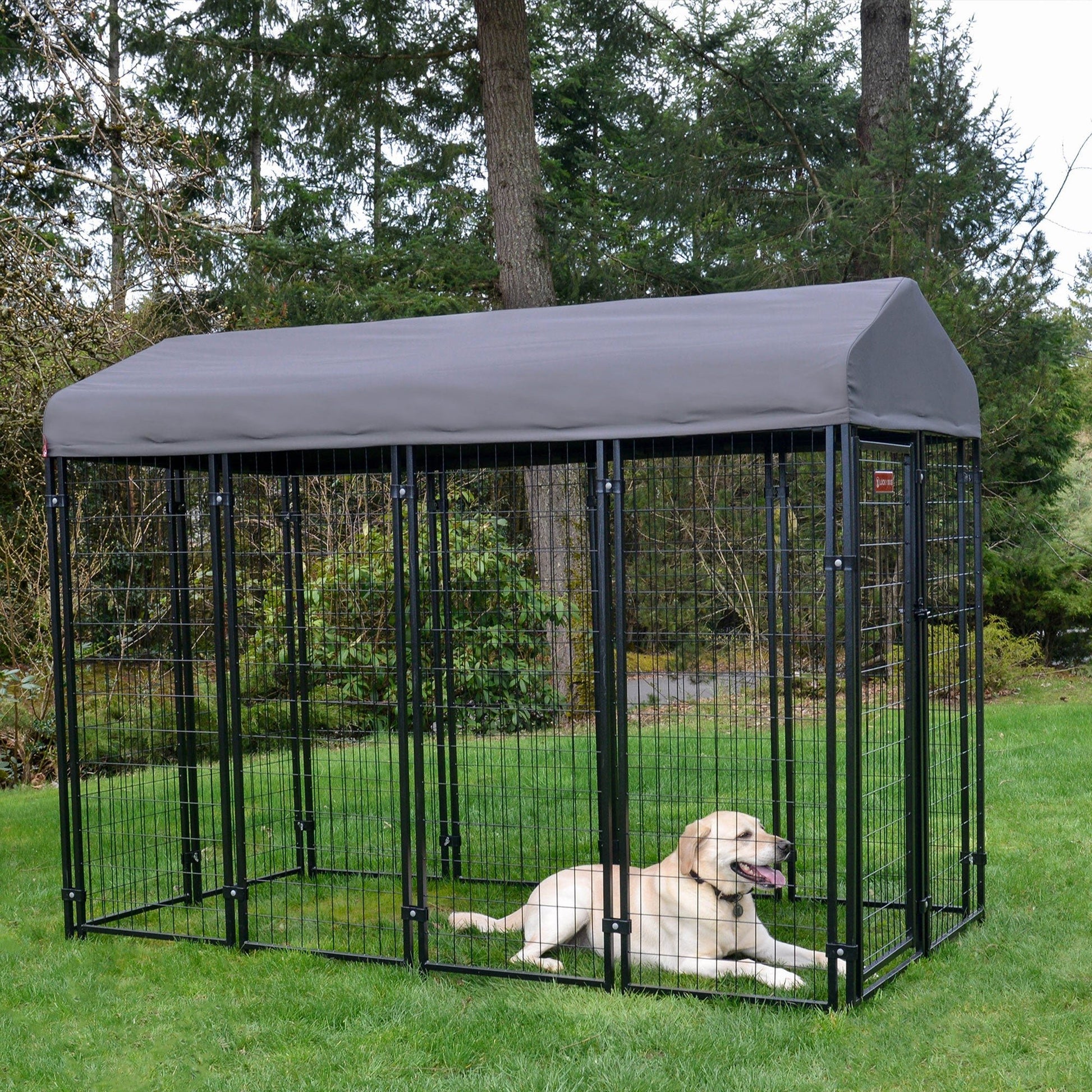 Lucky Dog STAY Series 4 x 8 x 6 Foot Roofed Steel Frame Villa Dog Kennel, Grey - Angler's Pro Tackle & Outdoors