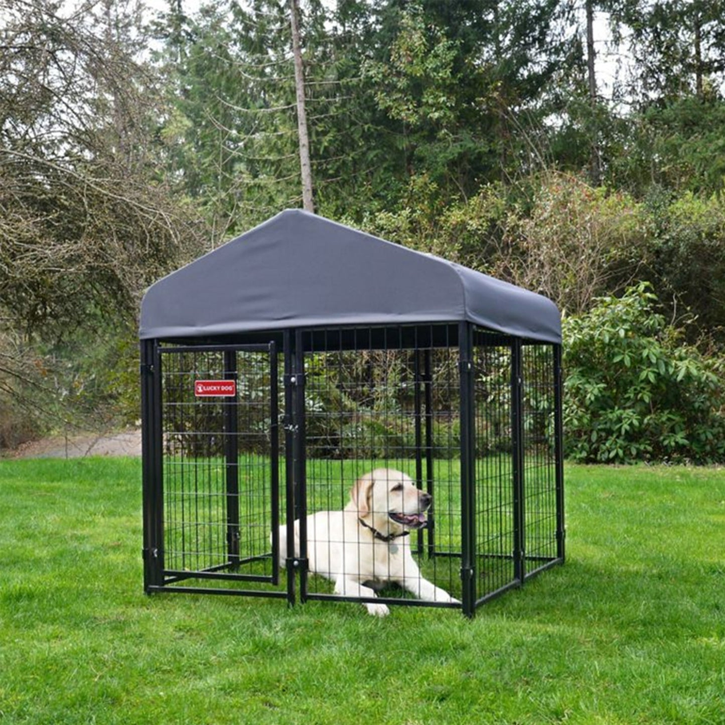 Lucky Dog STAY Series Studio Jr. 4 x 4 x 4.3 Foot Roofed Steel Dog Kennel, Grey - Angler's Pro Tackle & Outdoors