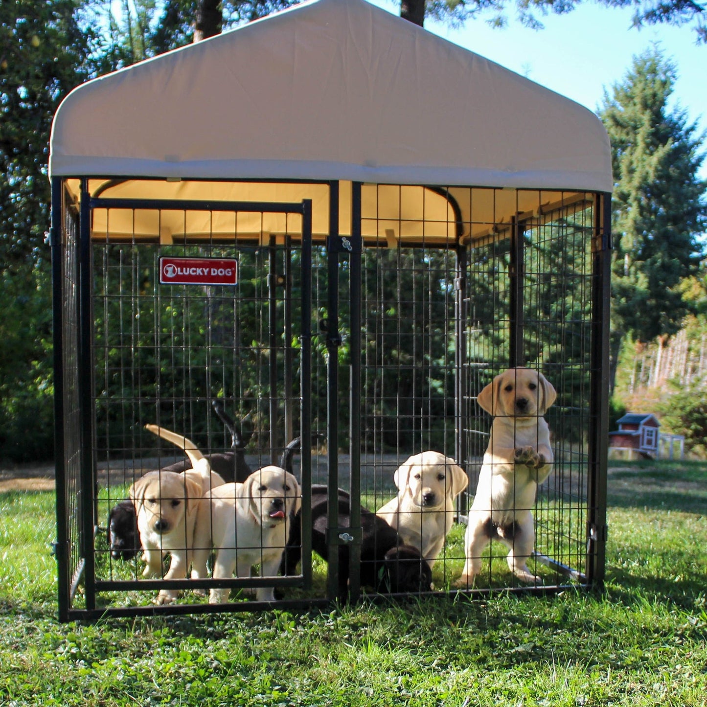 Lucky Dog STAY Series Studio Jr. 4x4x4.3 Ft Roofed Steel Frame Dog Kennel, Khaki - Angler's Pro Tackle & Outdoors