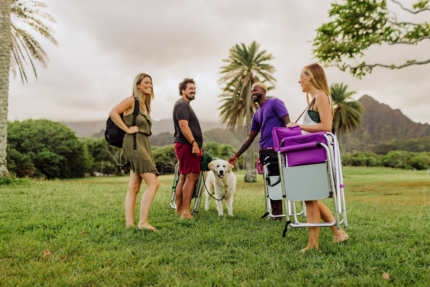 Picnic Time Sports Chair