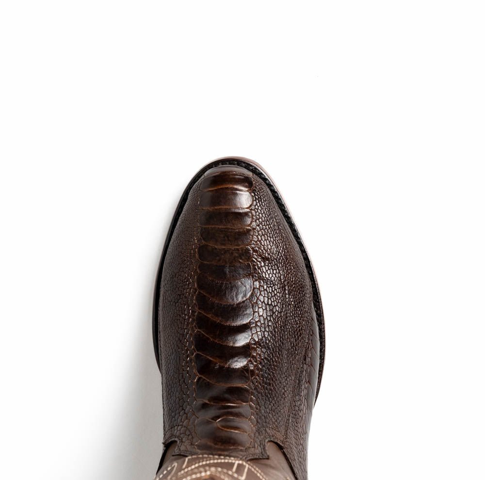 Marco Di Milano Denver Clear Brown - Angler's Pro Tackle & Outdoors