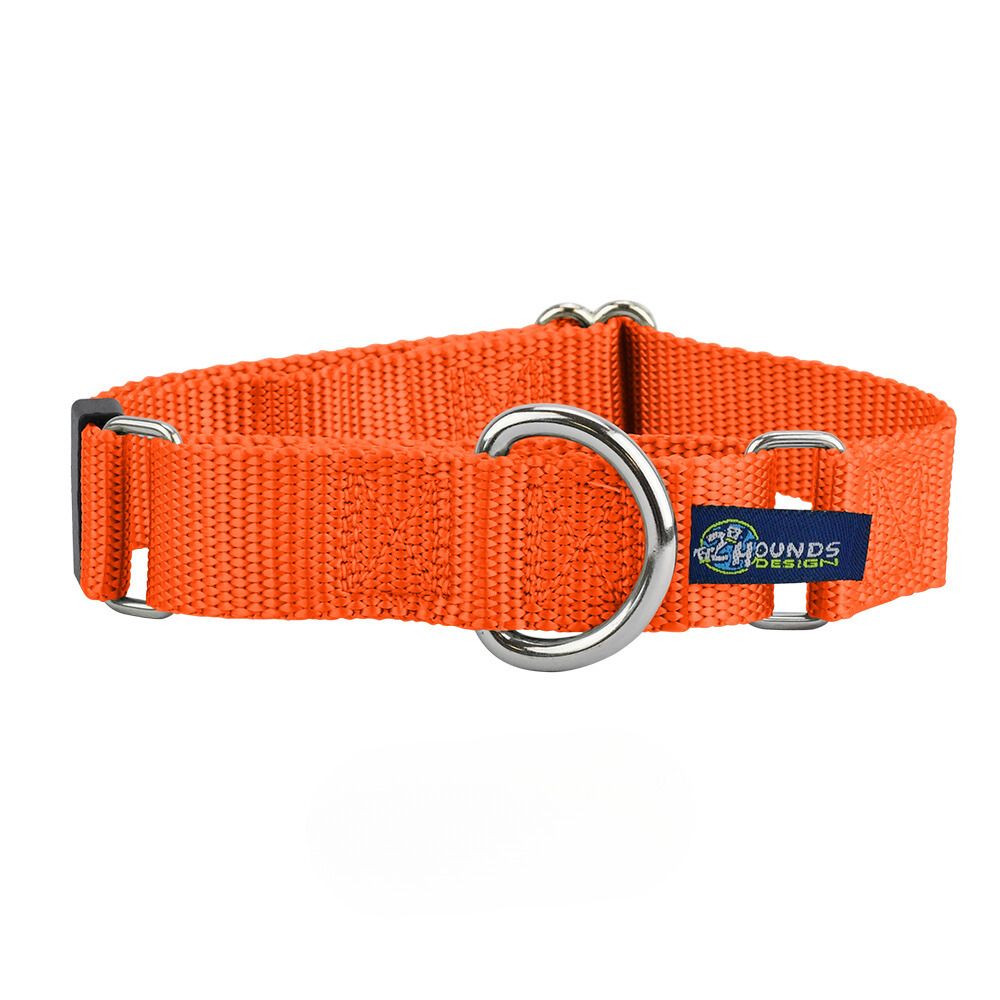 2 Hounds Design 1″ Rust Nylon Martingale Dog Collar