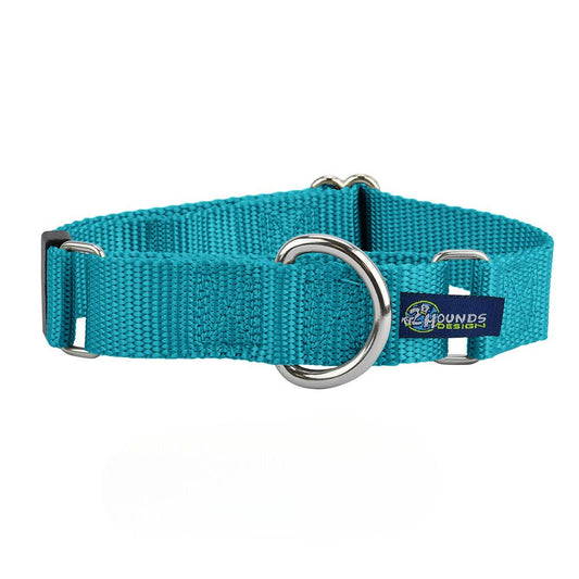 2 Hounds Design 5/8″ and 1″ Teal Nylon Martingale Dog Collar