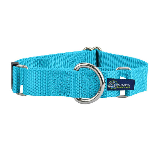 2 Hounds Design 5/8″ and 1″ Turquoise Nylon Martingale Dog Collar