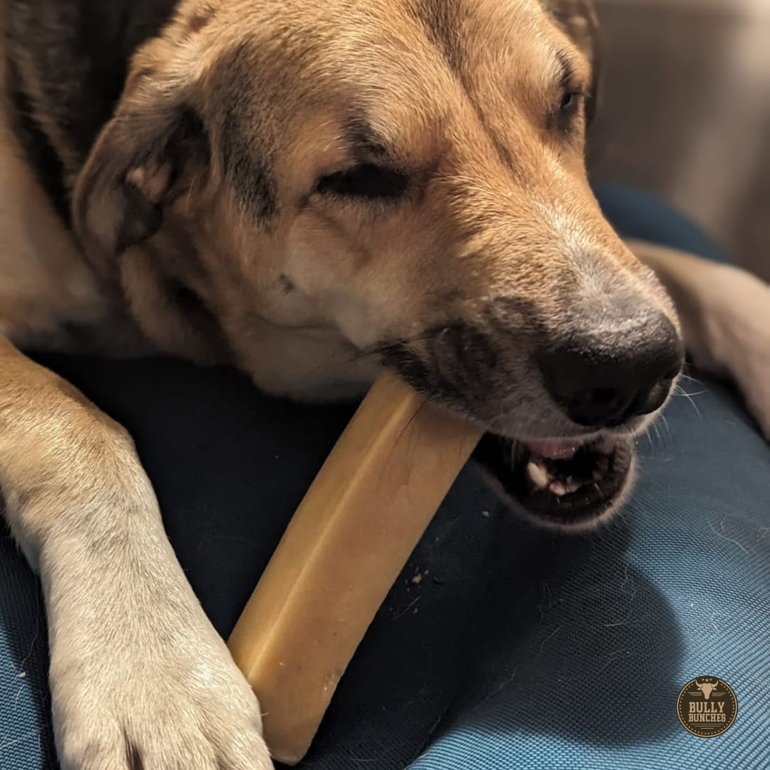 Bully Bunches - Himalayan Yak Chew (MEGA)