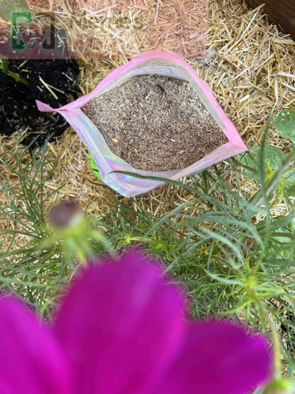 Meme's Worms Premium Worm Chow (SC) - Angler's Pro Tackle & Outdoors