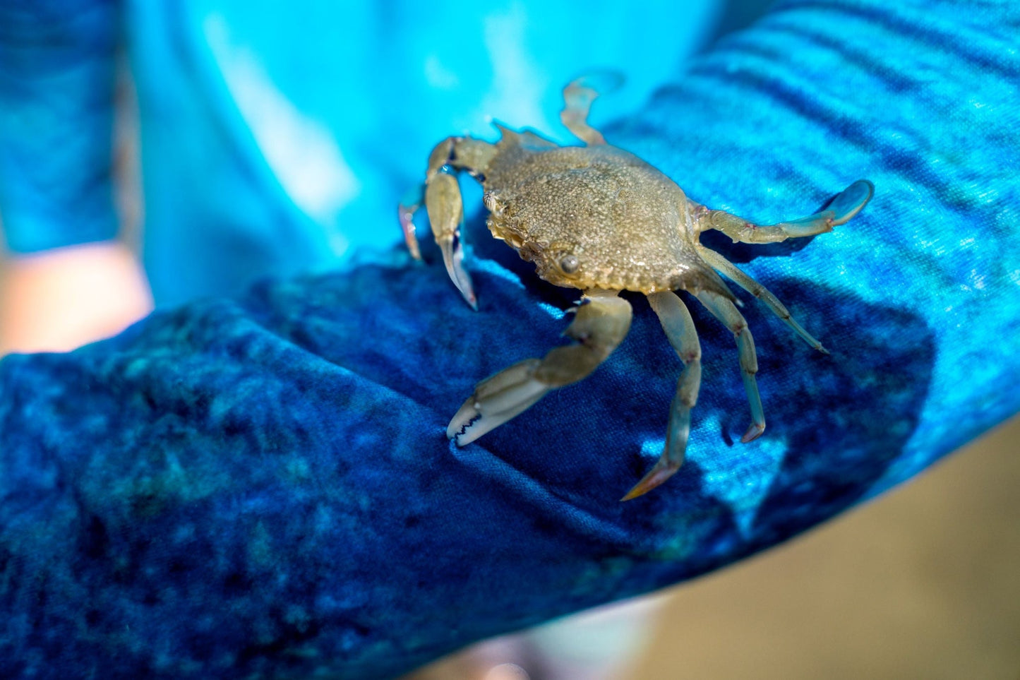 Seatec Outfitters | SPORT TEC | BLUE CRAB | HOODED