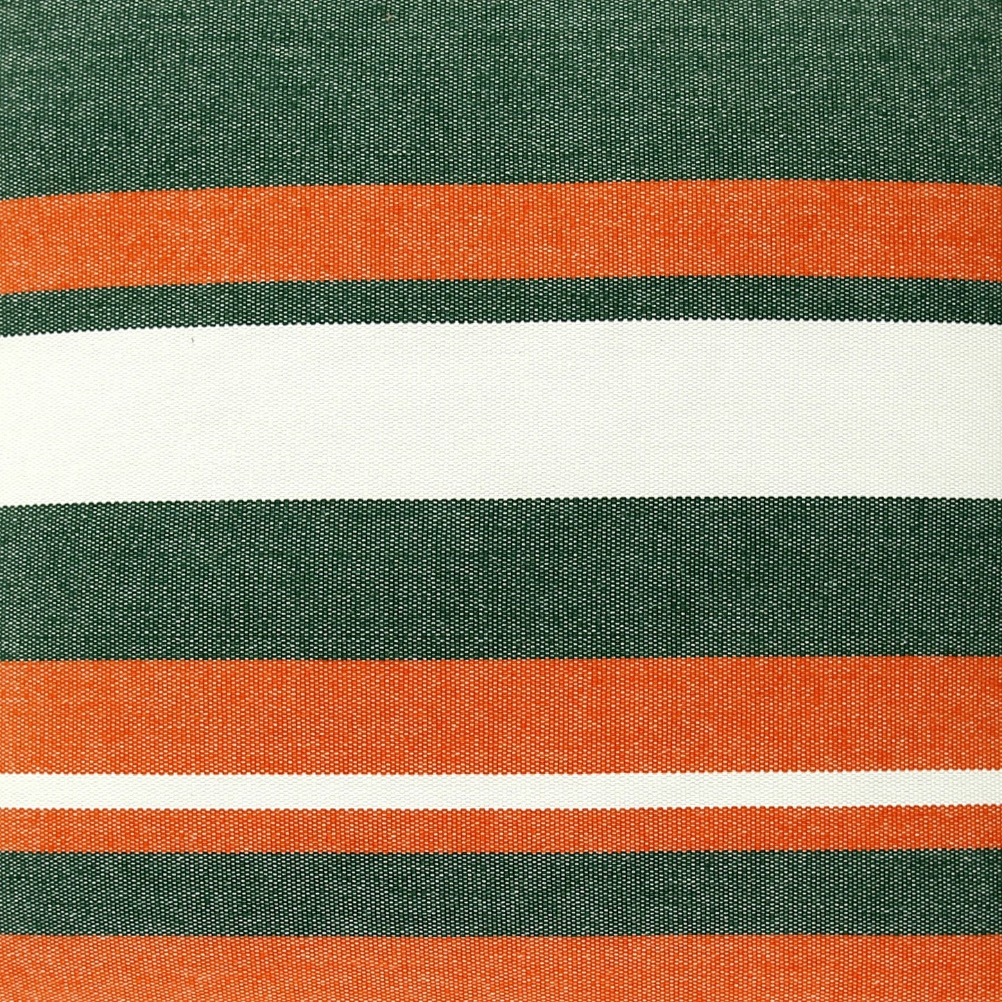 Campus Hammocks Miami Hurricanes Ibis Hammock