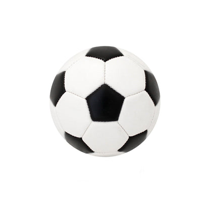 Mini Autograph Soccer Ball - Angler's Pro Tackle & Outdoors