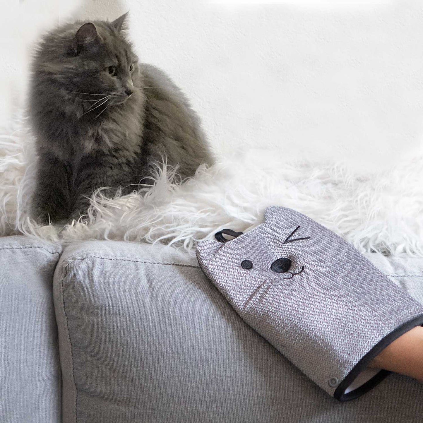 GPCA Mitten Pet Hair Remover