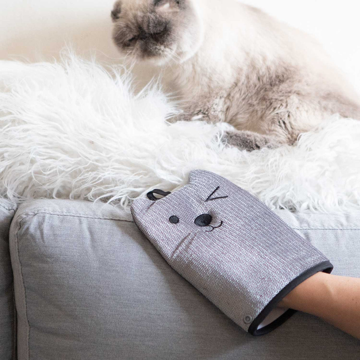 GPCA Mitten Pet Hair Remover