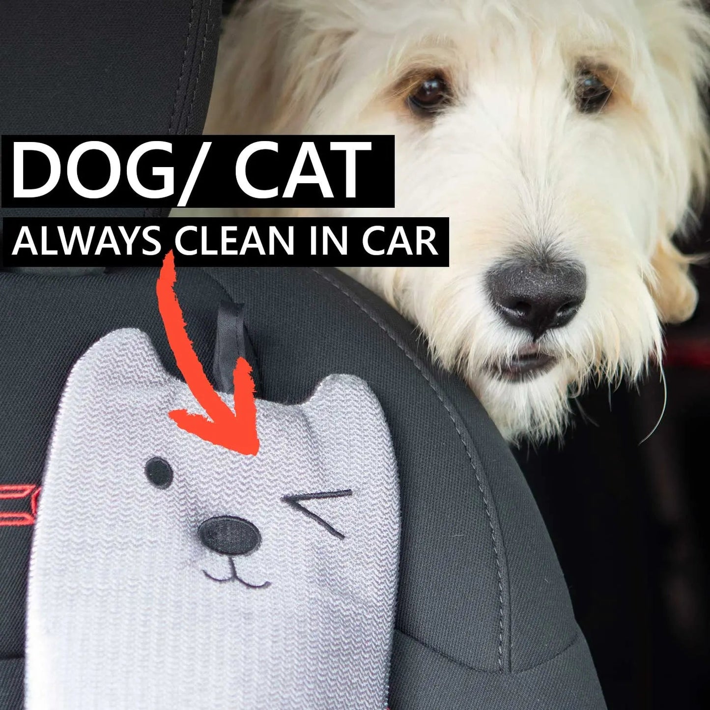 GPCA Mitten Pet Hair Remover