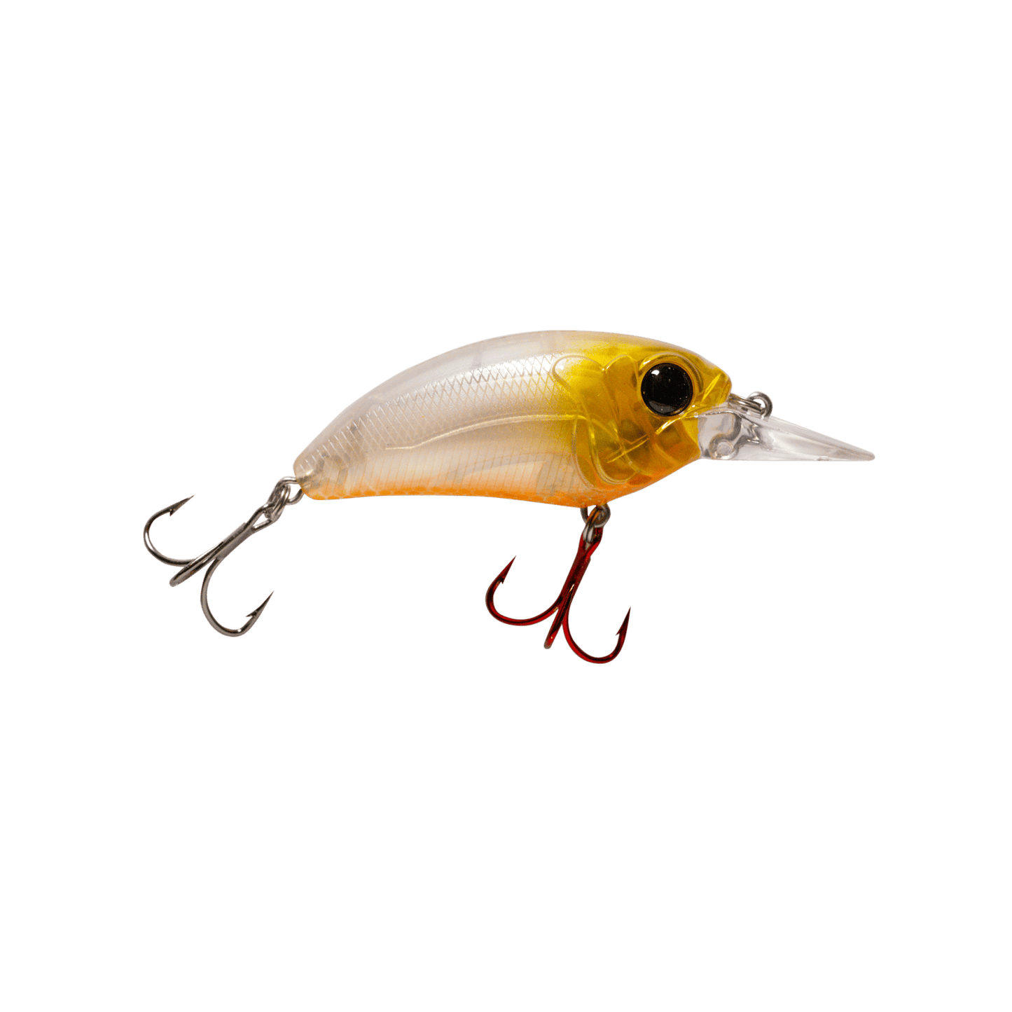 MONSTERBASS Seeker 6 - Angler's Pro Tackle & Outdoors