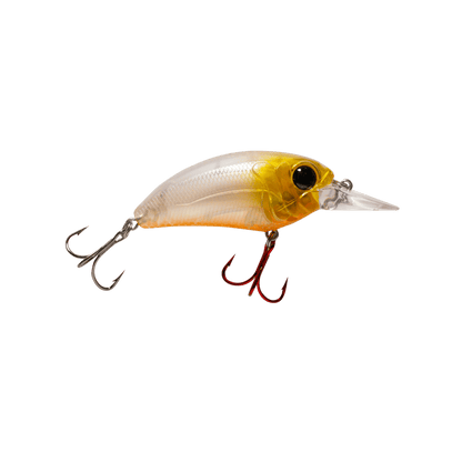 MONSTERBASS Seeker 6 - Angler's Pro Tackle & Outdoors