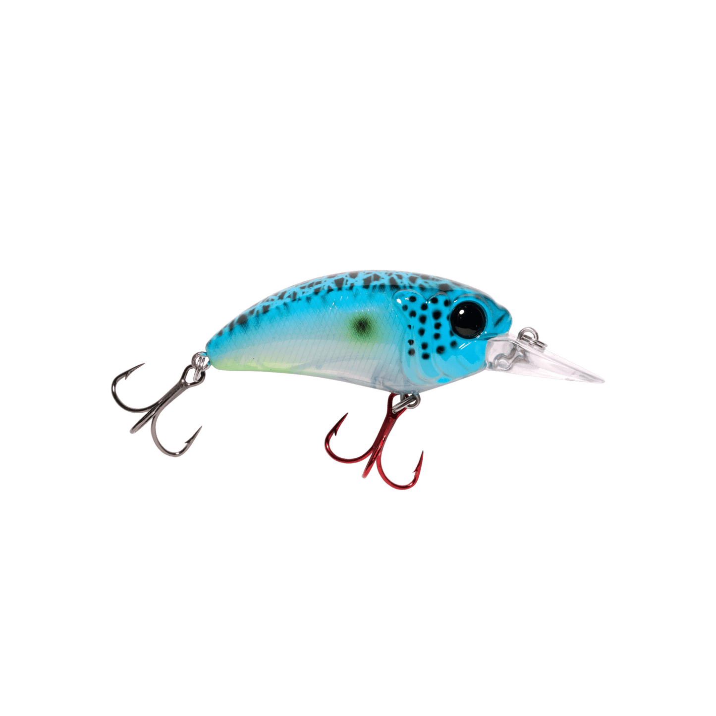 MONSTERBASS Seeker 6 - Angler's Pro Tackle & Outdoors