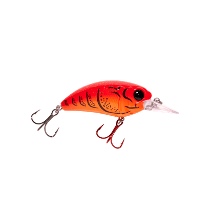 MONSTERBASS Seeker 6 - Angler's Pro Tackle & Outdoors