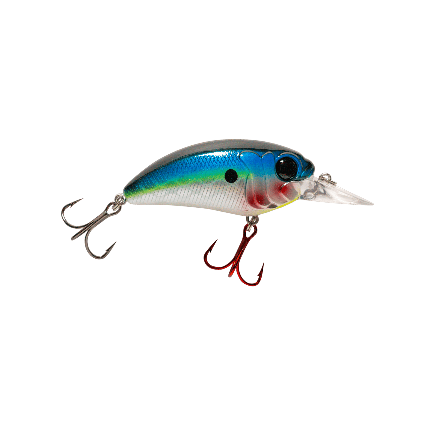 MONSTERBASS Seeker 6 - Angler's Pro Tackle & Outdoors