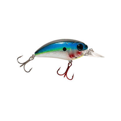 MONSTERBASS Seeker 6 - Angler's Pro Tackle & Outdoors