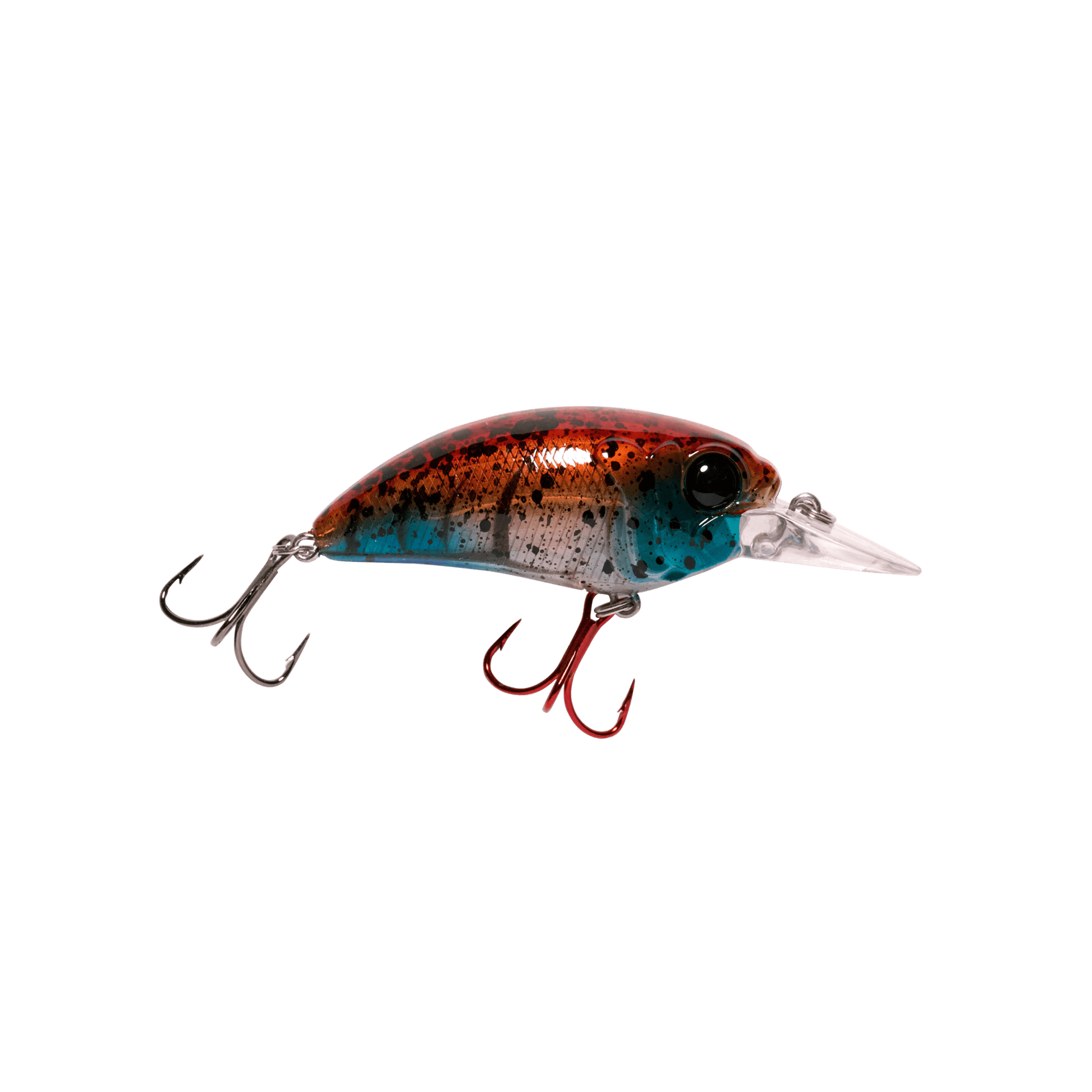MONSTERBASS Seeker 6 - Angler's Pro Tackle & Outdoors