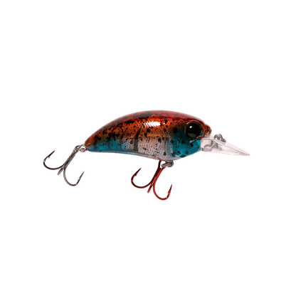 MONSTERBASS Seeker 6 - Angler's Pro Tackle & Outdoors