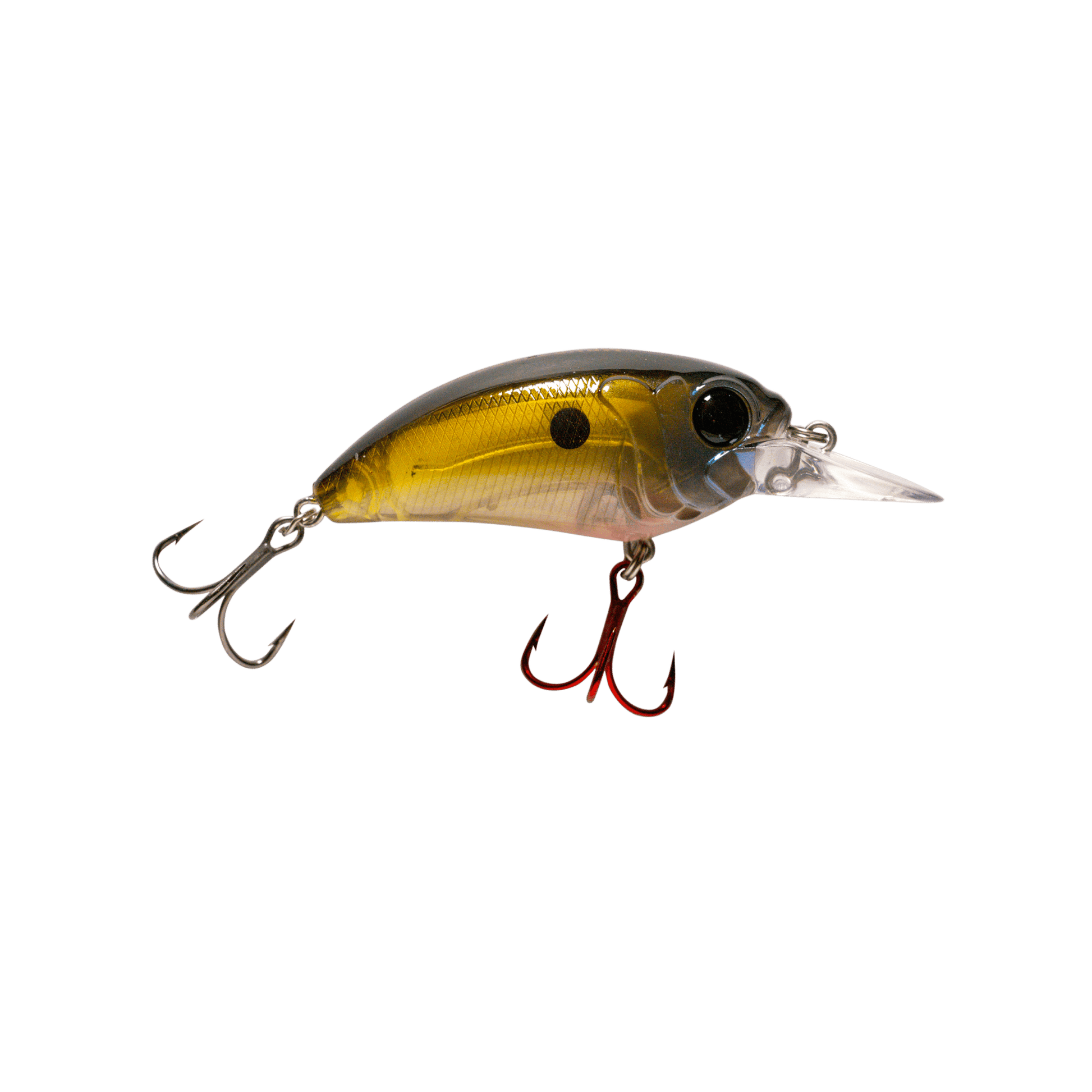 MONSTERBASS Seeker 6 - Angler's Pro Tackle & Outdoors