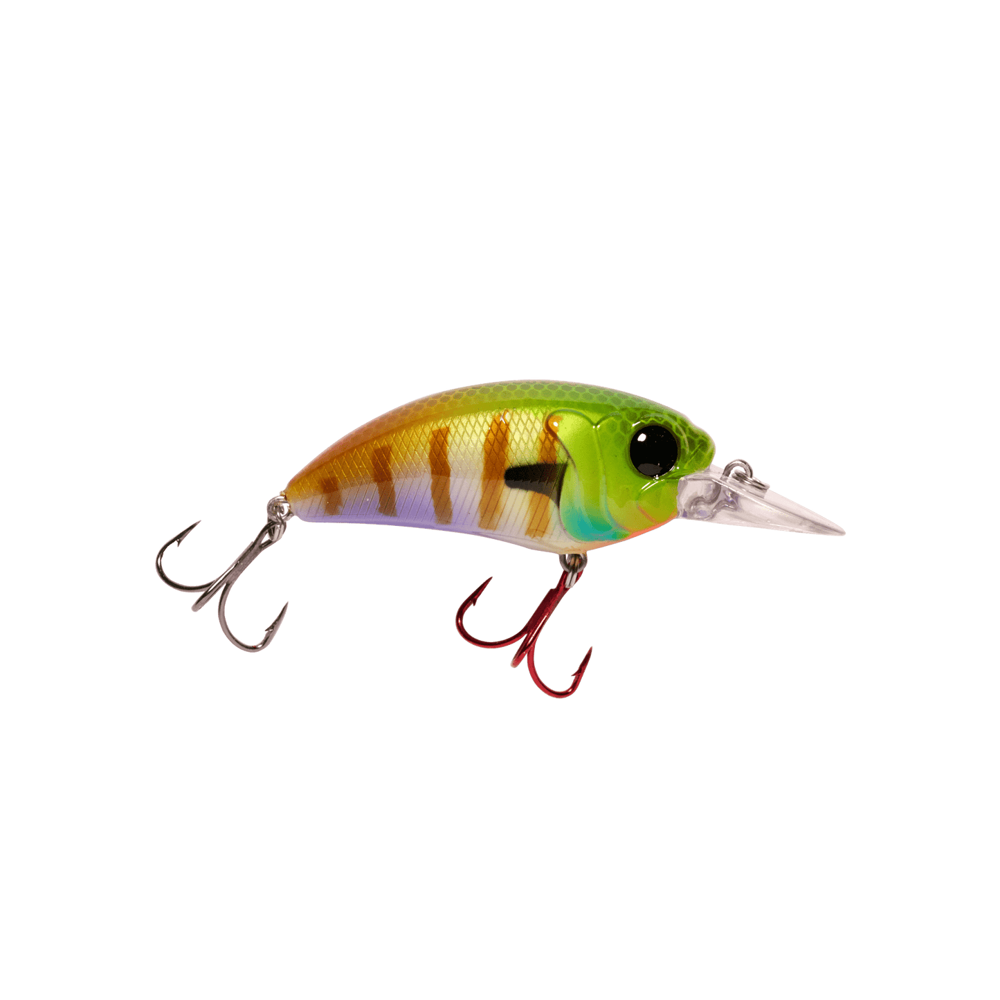 MONSTERBASS Seeker 6 - Angler's Pro Tackle & Outdoors