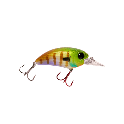 MONSTERBASS Seeker 6 - Angler's Pro Tackle & Outdoors