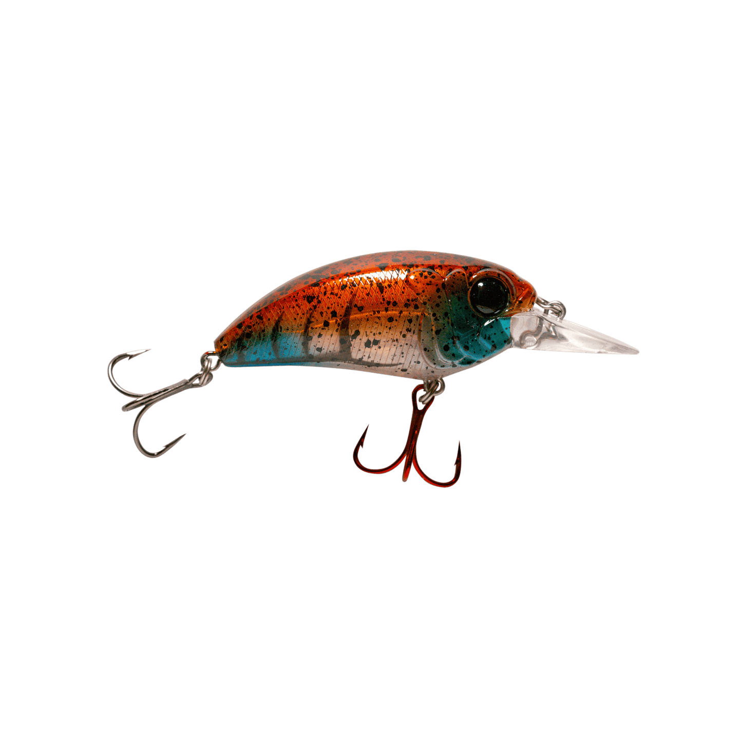 MONSTERBASS Seeker 6 - Angler's Pro Tackle & Outdoors