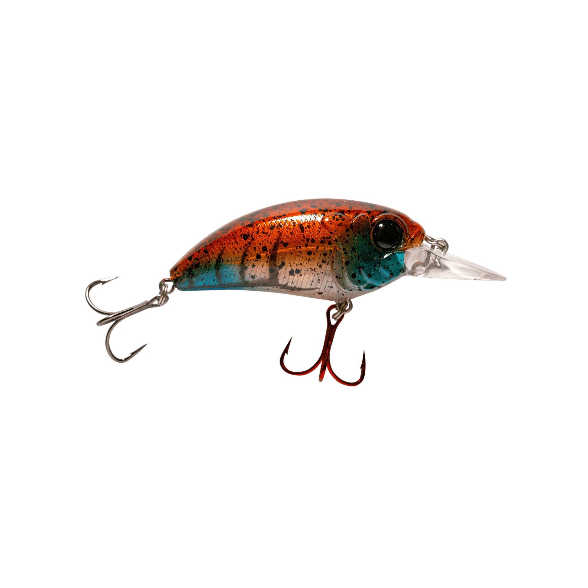 MONSTERBASS Seeker 6 - Angler's Pro Tackle & Outdoors