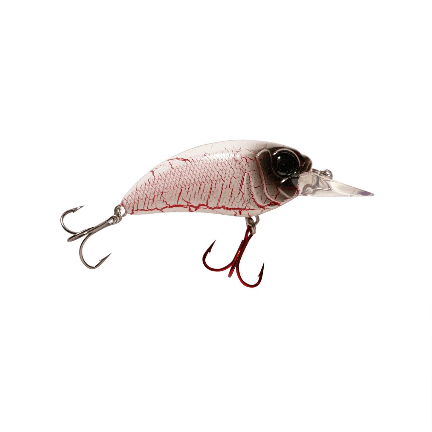 MONSTERBASS Seeker 6 - Angler's Pro Tackle & Outdoors