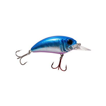 MONSTERBASS Seeker 6 - Angler's Pro Tackle & Outdoors