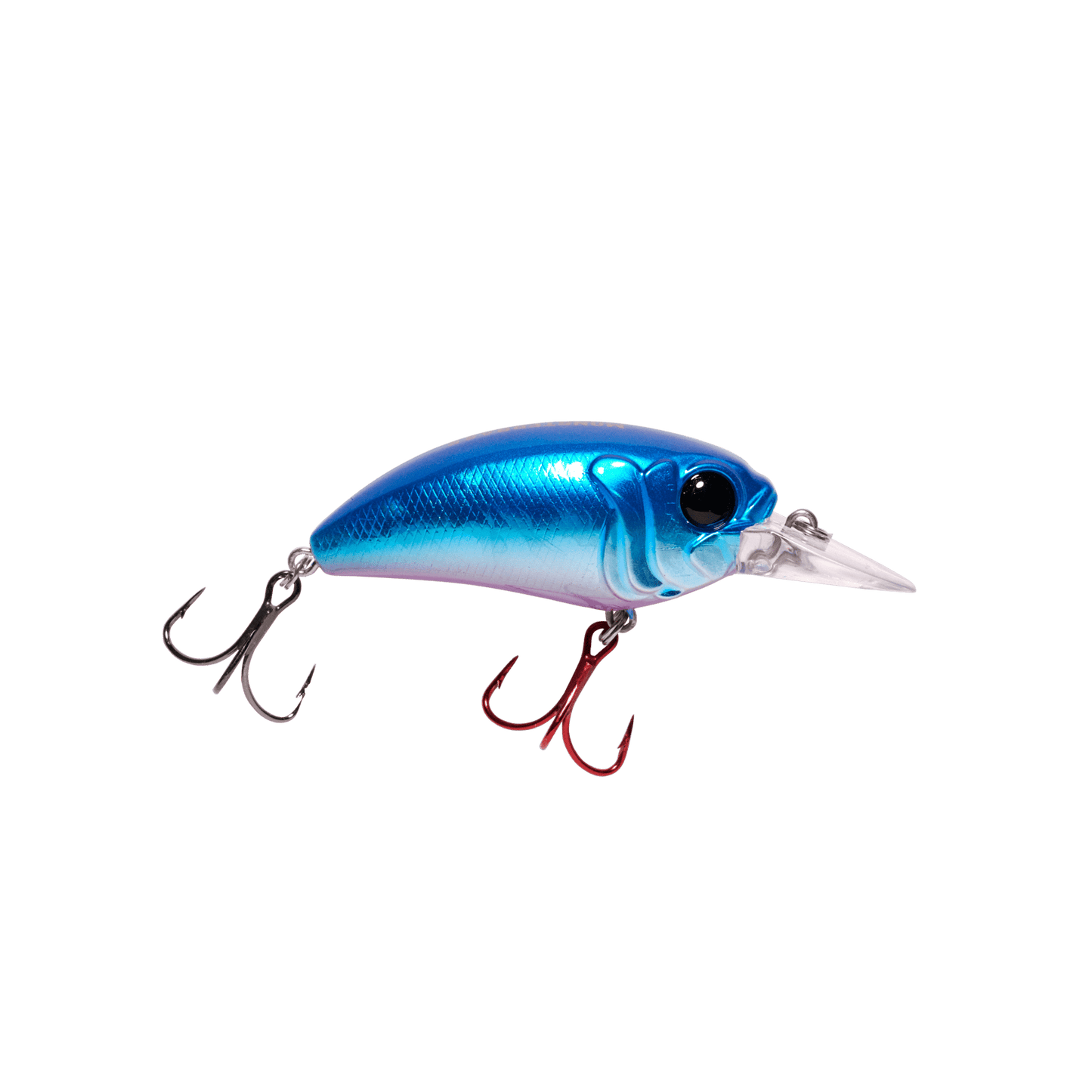 MONSTERBASS Seeker 6 - Angler's Pro Tackle & Outdoors
