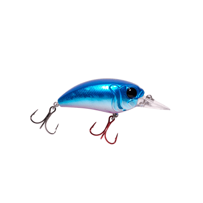 MONSTERBASS Seeker 6 - Angler's Pro Tackle & Outdoors
