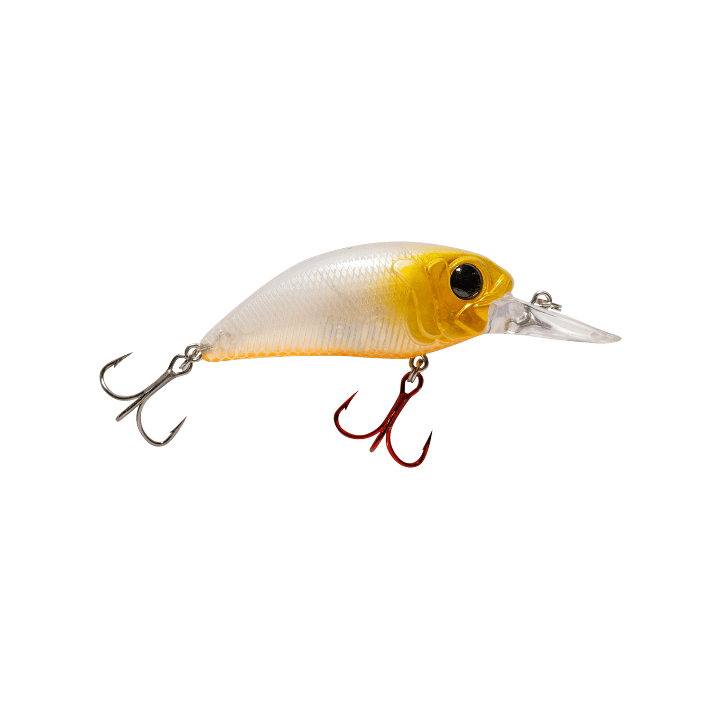 MONSTERBASS Seeker 8 - Angler's Pro Tackle & Outdoors