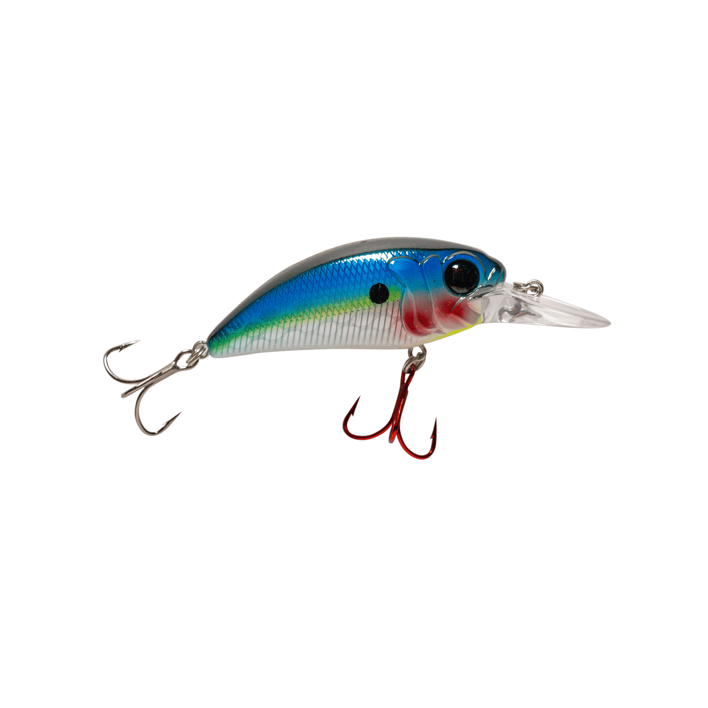 MONSTERBASS Seeker 8 - Angler's Pro Tackle & Outdoors