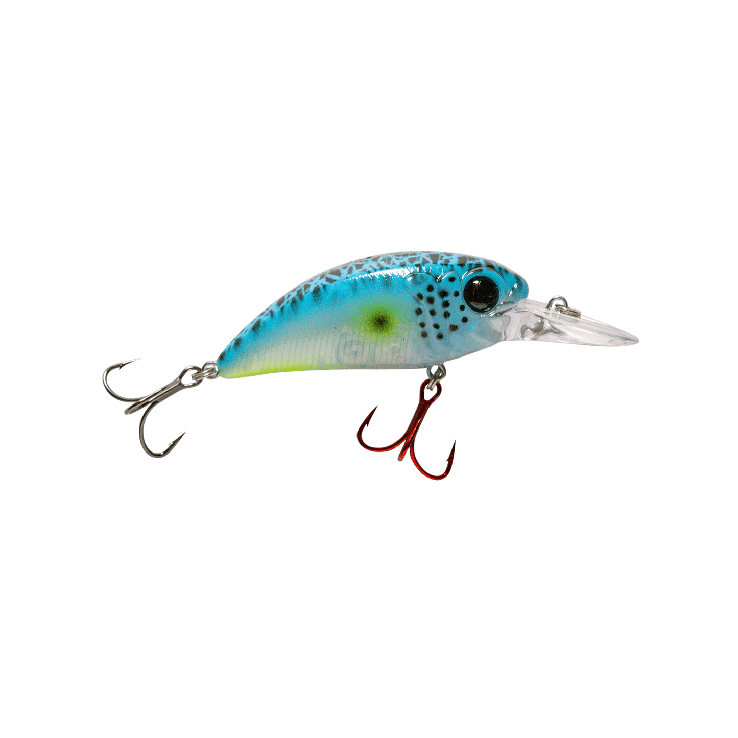 MONSTERBASS Seeker 8 - Angler's Pro Tackle & Outdoors