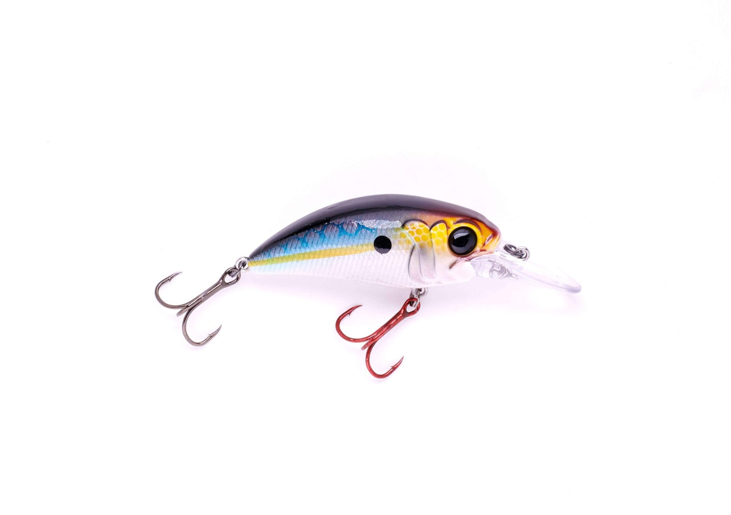 MONSTERBASS Seeker 8 - Angler's Pro Tackle & Outdoors