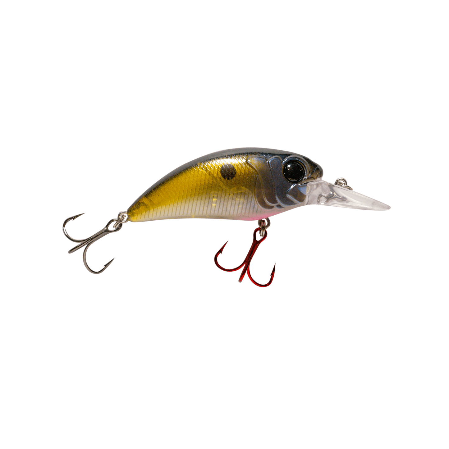 MONSTERBASS Seeker 8 - Angler's Pro Tackle & Outdoors