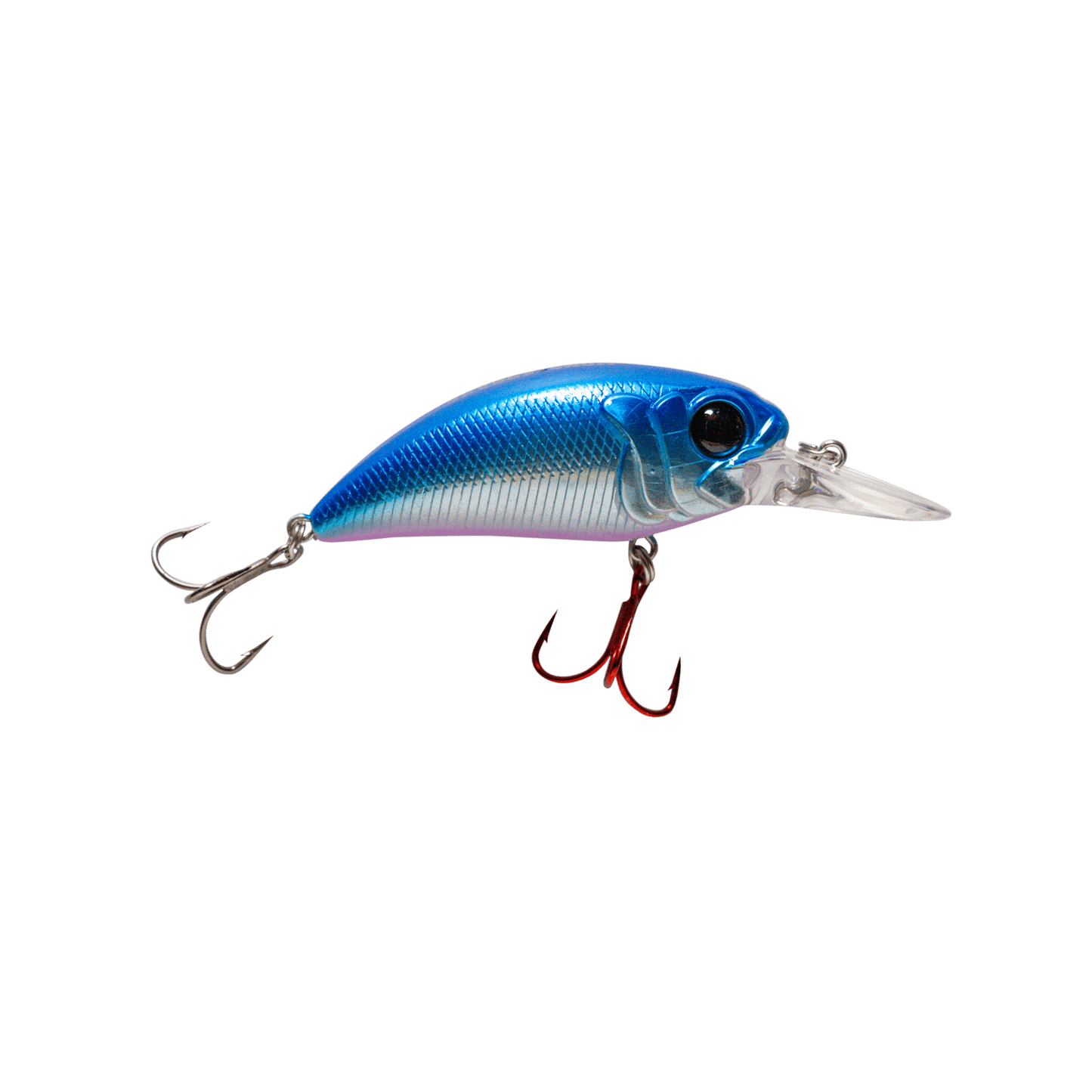 MONSTERBASS Seeker 8 - Angler's Pro Tackle & Outdoors