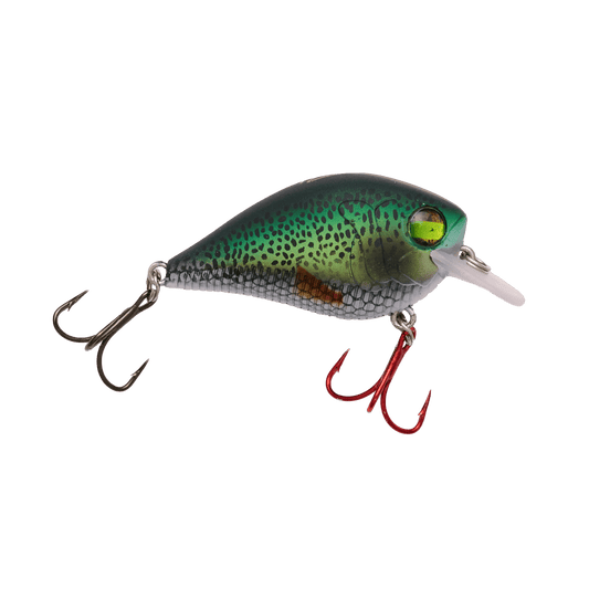 MONSTERBASS Little Banger