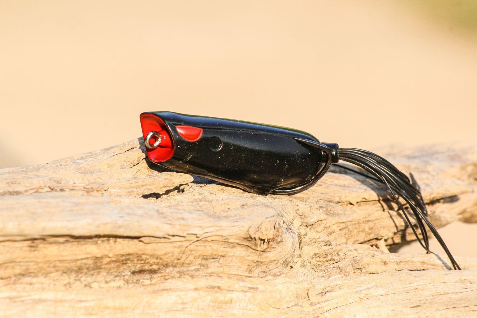 MONSTERBASS The Ultimate Frog & Toad Box – Handpicked by Shaye Baker! 🐸 - Angler's Pro Tackle & Outdoors