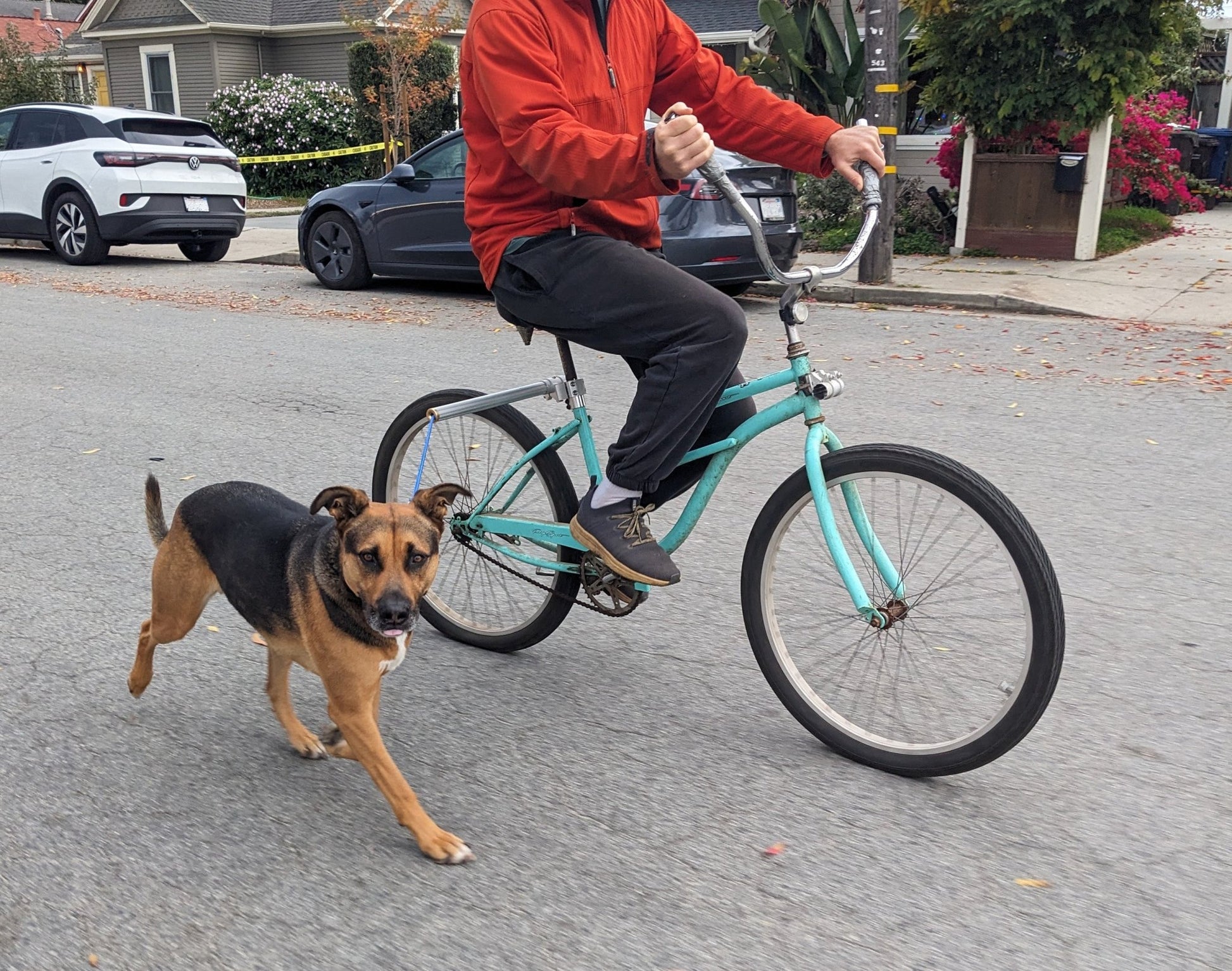 Moved By Bikes Dog Runners - Angler's Pro Tackle & Outdoors