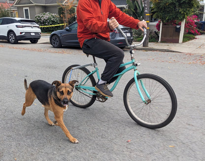 Moved By Bikes Dog Runners - Angler's Pro Tackle & Outdoors