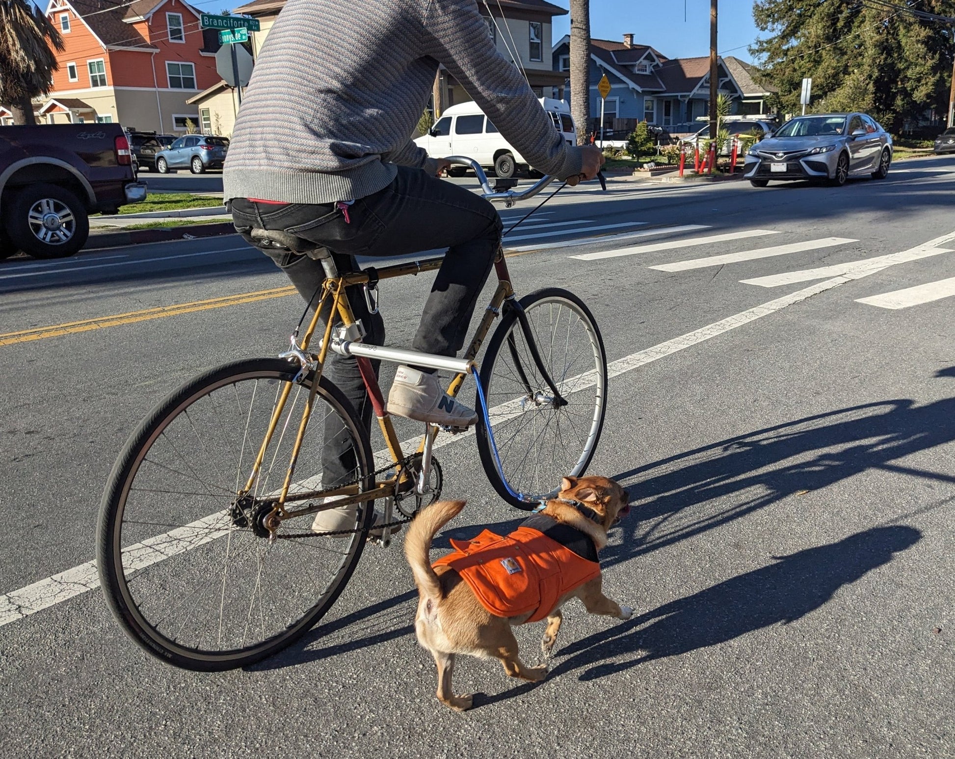 Moved By Bikes Dog Runners - Angler's Pro Tackle & Outdoors