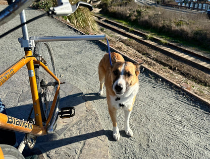 Moved By Bikes Dog Runners - Angler's Pro Tackle & Outdoors