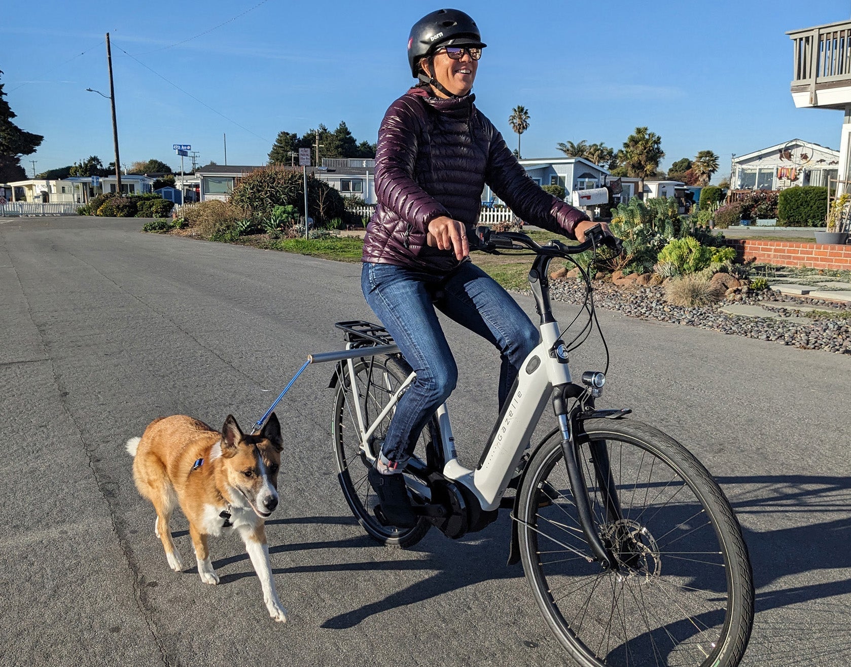 Moved By Bikes Dog Runners - Angler's Pro Tackle & Outdoors