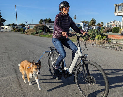 Moved By Bikes Dog Runners - Angler's Pro Tackle & Outdoors