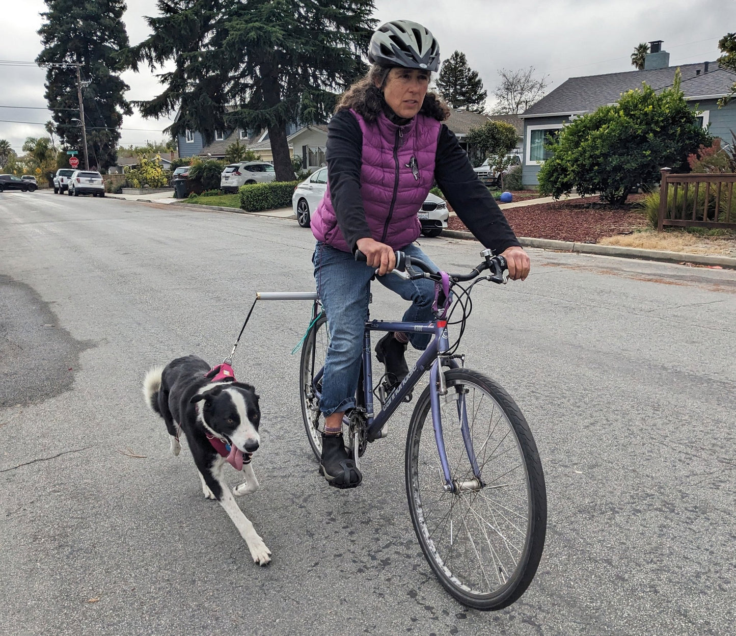 Moved By Bikes Dog Runners - Angler's Pro Tackle & Outdoors